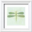 Dragonfly by Lorraine Cook Limited Edition Print