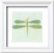 Dragonfly by Lorraine Cook Limited Edition Print