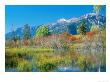 Autumn Pond Scene, Usa by Stan Osolinski Limited Edition Pricing Art Print