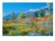 Autumn Pond Scene, Usa by Stan Osolinski Limited Edition Print