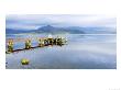 View Along The Old Pier And Across Loch Spelve, Scotland by Elliott Neep Limited Edition Print