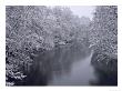 Snow Covered Trees Beside River Pikkala, South Finland by Heikki Nikki Limited Edition Print