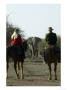 People On Horse Safari At Mashatu Game Reserve, Botswana by Roger De La Harpe Limited Edition Print