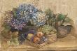 Abundant Baskets by Albena Hristova Limited Edition Pricing Art Print