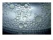 Oil Droplets Suspended On Surface Of Water, Close-Up Uk by Mark Hamblin Limited Edition Print