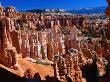Bryce Amphitheatre Bryce Canyon National Park, Utah, Usa by Rob Blakers Limited Edition Print