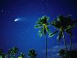 Comet Hale-Bopp With Palm Trees, Kaanapali, Hawaii, Usa by Karl Lehmann Limited Edition Print