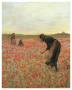 Girls In Poppy Field by Lawren Morris Limited Edition Print