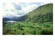 Nantgwynant Valley, North Wales, Uk by Paul Kay Limited Edition Print