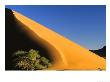 Sand Dune, Namibia by Roger De La Harpe Limited Edition Print
