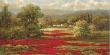 Poppy Village by Hulsey Limited Edition Print