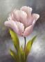 White Tulip by Fasani Limited Edition Print