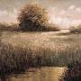 Hillside Pond Ii by Craig Palmer Limited Edition Pricing Art Print