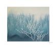 Blue And White by Yunlan He Limited Edition Pricing Art Print