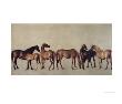 Mares And Foals Without A Background, Circa 1762 by George Stubbs Limited Edition Print