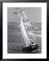 The Black Pearl Sailing Off Of Martha's Vineyard by Alfred Eisenstaedt Limited Edition Print