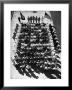 Navy Recruits Being Sworn In At Induction by Alfred Eisenstaedt Limited Edition Print
