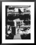 Young Man Standing In Front Of A Herbs And Fish Market Displaying Racks Of Fish by Howard Sochurek Limited Edition Print