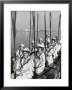 Oakland Women's Rowing Club Comprised Of 10 Grandmothers At Lake Merritt Boathouse For Practice by Charles E. Steinheimer Limited Edition Print