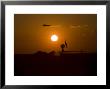 Uh-60 Blackhawk Flies Over Camp Speicher Airfield At Sunset by Stocktrek Images Limited Edition Print