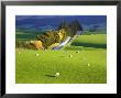 Farmland, South Otago, South Island, New Zealand by David Wall Limited Edition Print