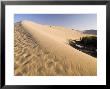 Sand Dunes And Oasis, Desert, Dunhuang, Gansu, China by Porteous Rod Limited Edition Print