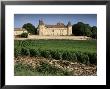 Chateau De Rully, Near Chalon Sur Soane, Bourgogne (Burgundy), France by Michael Busselle Limited Edition Print