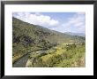 Puna Tsang River, Bhutan by Angelo Cavalli Limited Edition Print