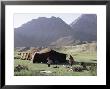 Nomad Tents, Lar Valley, Iran, Middle East by Desmond Harney Limited Edition Print