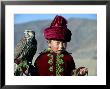 Young Boy Holding A Falcon, Golden Eagle Festival, Mongolia by Amos Nachoum Limited Edition Print