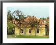 House In Tokaj Village, Mad, Hungary by Per Karlsson Limited Edition Print