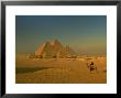 The Pyramids At Giza, Unesco World Heritage Site, Cairo, Egypt, North Africa, Africa by Gavin Hellier Limited Edition Print