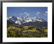 Sneffels Range With Fall Colors, Near Ouray, Colorado, United States Of America, North America by James Hager Limited Edition Print