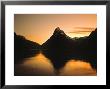 Milford Sound, South Island, New Zealand by Danielle Gali Limited Edition Print