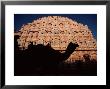 Palace Of The Winds, Camel In Silouhette, Jaipur, Rajasthan, India by Steve Vidler Limited Edition Print