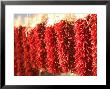 Chili Pepper Ristras, Santa Fe, New Mexico by Walter Bibikow Limited Edition Pricing Art Print