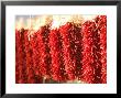 Chili Pepper Ristras, Santa Fe, New Mexico by Walter Bibikow Limited Edition Print