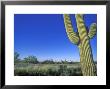 Bicycle Touring, Arizona, Usa by Chuck Haney Limited Edition Print