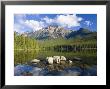 Pyramid Lake, Jasper National Park, Alberta, Rockies, Canada by Peter Adams Limited Edition Print