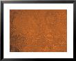 Arabia Region Of Mars by Stocktrek Images Limited Edition Pricing Art Print