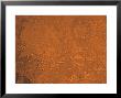 Arabia Region Of Mars by Stocktrek Images Limited Edition Print