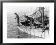 Fishing Oysters In Mobile Bay by Lewis Wickes Hine Limited Edition Print