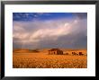 Abandoned Stone Farmhouse On The Barrier Highway Near Burra, Burra, South Australia, Australia by Ross Barnett Limited Edition Print