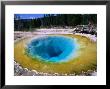 Chromatic Spring In The Norris Geyser Basin, Yellowstone National Park, Wyoming by John Elk Iii Limited Edition Print