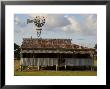 Old Farmhouse With Windmill In Sugar Farming Heartland, Cordelia by Simon Foale Limited Edition Print