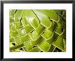 Closeup Of A Woven Hat, Takapoto Atoll, French Polynesia by Tim Laman Limited Edition Print