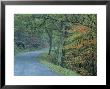 Road In The Blue Ridge Mountains, Virginia by Kenneth Garrett Limited Edition Pricing Art Print