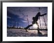 Silhouette Of Of Women Cross County Skiing In Wyoming, Yellowstone by Bobby Model Limited Edition Print