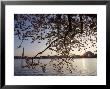 Washington Monument And Jefferson Memorial With Cherry Blossom Trees, Washington, D.C. by Kenneth Garrett Limited Edition Print