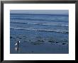 Longboard Surfer Watches The Surf Break On An Isla Vista Beach by Rich Reid Limited Edition Pricing Art Print